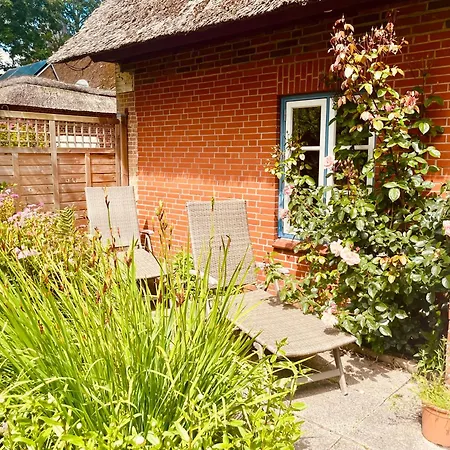 Apartamento Kegelrobbe